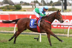 Scales Of Justice, above, scored a first up win in the 2019 Bletchingly Stakes at Caulfield. Photo by Ultimate Racing Photos.