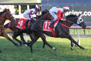 Mystic Journey, above, will have her next run in the Makybe Diva Stakes at Flemington. Photo by Ultimate Racing Photos. 