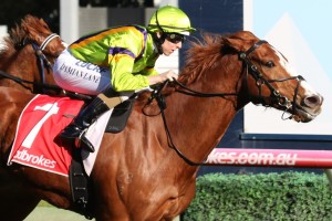 Crystal Dreamer, above, scored an upset win in the Heath 1100 Stakes at Caulfield. Photo by Ultimate Racing Photos.