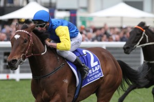 Black Heart Bart, above, was paid up as a late entry for the 2019 Ladbrokes Cox Plate at The Valley. Photo by Ultimate Racing Photos.