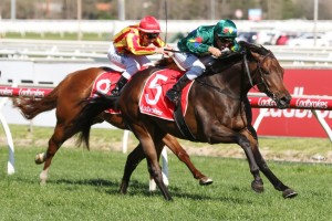Alligator Blood, above, could clash again with Super Seth during the 2020 Melbourne Autumn Carnival. Photo by Ultimate Racing Photos.