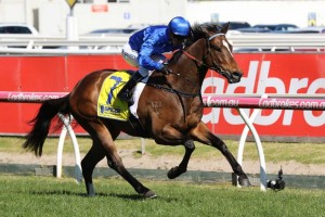 Trekking, above, will lead the Blue Army charge in the 2019 Stradbroke Handicap at Eagle Farm. Photo by Ultimate Racing Photos. 