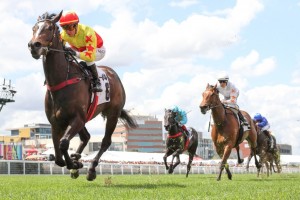 California Zimbol, above, cruises to win the Thoroughbred Club Stakes at Caulfield. Photo by Ultimate Racing Photos. 
