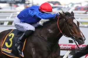 Flit, above, scored a narrow win in the 2019 Thousand Guineas at Caulfield. Photo by Ultimate Racing Photos.