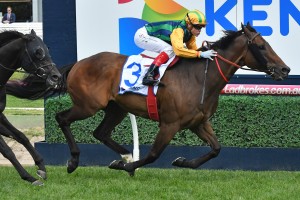 Ball Of Muscle, above, was too strong for his opposition in the 2018 Schillaci Stakes at Caulfield. Photo by Ultimate Racing Photos.