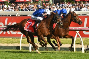 Jockey Pat Cosgrave, above in all blue colours winning the Ladbrokes Stakes on Benbatl, will ride Best Solution in the 2018 Caulfield Cup at Caulfield. Photo by Ultimate Racing Photos.