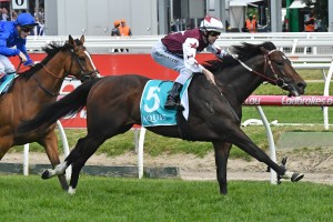 Land Of Plenty, above, is among the nominations for the 2019 C.F. Orr Stakes at Caulfiield. Photo by Ultimate Racing Photos. 