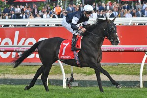 Yucatan, above, is Ladbrokes' Peter Moody's top 2018 Melbourne Cup tip. Photo by Ultimate Racing Photos.