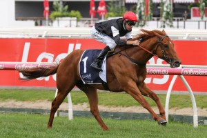 Written By, above, scores an all the way win in the 2018 Blue Sapphire Stakes at Caulfield. Photo by Ultimate Racing Photos.