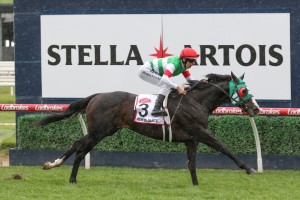 Constantinople finished fourth to Mer De Glace, above, in the 2019 Caulfield Cup at Caulfield. Photo by Ultimate Racing Photos.