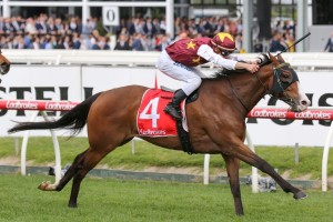 Streets Of Avalon, above, will have the blinkers back on in the Bletchingly Stakes at Caulfield. Photo by Ultimate Racing Photos.
