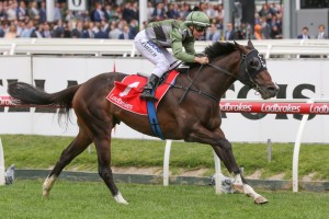 Thought Of That, above, is now one of the top fancies for the Victoria Derby after an all the way win in the Ladbrokes Classic at Caulfield. Photo by Ultimate Racing Photos.