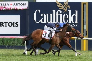 Best Solution, above in royal blue colours on the inside of Homesman, blue with white armbands, scores a nose win in the 2018 Caulfield Cup at Caulfield. Photo by Ultimate Racing Photos. 