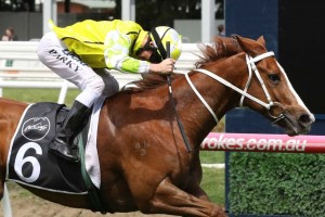 Eduardo, above, wins the 2018 Caulfield Sprint at Caulfield. Photo by Ultimate Racing Photos.