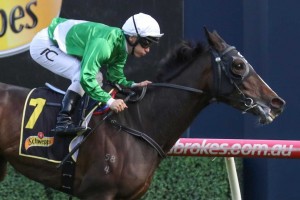 Jockey Tim Clark, above, replaces Damian Browne on Boomsara in the 2019 Magic Millions 3yo Guineas at the Gold Coast. Photo by Ultimate Racing Photos.