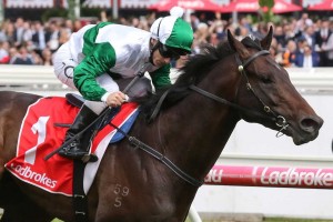 Thinkin' Big, above, is the favourite for the 2018 Victoria Derby at Flemington. Photo by Ultimate Racing Photos.
