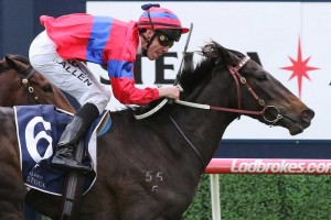 Verry Elleegant, above, is bred to run the distance in the Kennedy Oaks at Flemington. Photo by Ultimate Racing Photos. 
