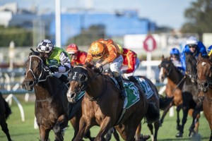Tyzone, above in orange colours, wins the 2020 Stradbroke Handicap at Eagle Farm for Team Edmonds. Photo by Steve Hart.
