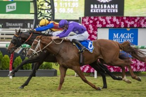 Kubrick, above in purple colours, will need luck from a wide barrier in the 2019 Caulfield Guineas at Caulfield. Photo by Steve Hart.