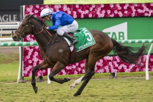 Kerrin McEvoy, above, winning the 2019 Stradbroke Handicap on Trekking at Eagle Farm. Photo by Steve Hart.