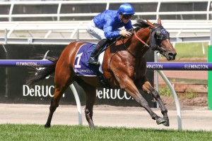 Microphone, above, will head back to Sydney for a Golden Slipper campaign after winning the Talindert Stakes at Flemington. Photo by Ultimate Racing Photos.