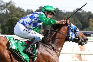 Fifty Stars, above, won't run in the 2020 Cox Plate at The Valley. Photo by Ultimate Racing Photos.
