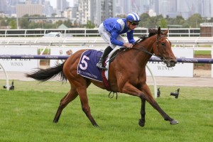 Trainer Ben Hayes has high hopes for Minhaaj, above, during the 2020 Spring Carnival. Photo by Ultimate Racing Photos.