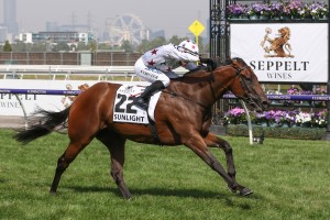 Sunlight, above, is the favourite for the 2019 William Reid Stakes at The Valley. Photo by Ultimate Racing Photos.