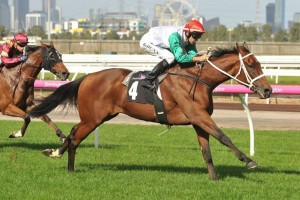 Life Less Ordinary, above, winning at Flemington, was the winner of the 2019 A.D. Hollindale Stakes at the Gold Coast. Photo by Ultimate Racing Photos.