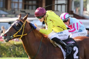 Malibu Style, above, is set to run in the 2018 Winterbottom Stakes at Ascot in Perth. Photo by Ultimate Racing Photos.