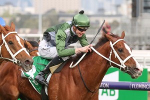 Kings Will Dream, above, is one of two runners for trainer Chris Waller in the 2019 Cox Plate at The Valley. Photo by Ultimate Racing Photos.