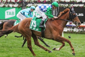 Moonlight Maid, above, is set to take on the colts and geldings in the 2020 South Australian Derby at Morphettville. Photo by Ultimate Racing Photos.