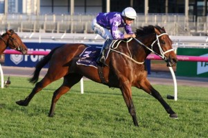 Invincibella, above, is the one to beat again in the Trsitarc Stakes at Caulfield. Photo by Ultimate Racing Photos.