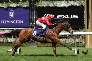 Unite And Conquer, above, is the favourite for the 2019 Magic Millions 2yo Classic at the Gold Coast. Photo by Steve Hart. 