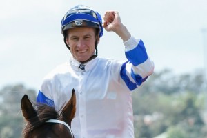 Blake Shinn, above, rose Purple Sector to  victory in the Rough Habit Plate at Doomben. Photo by Sarah Ebbett.