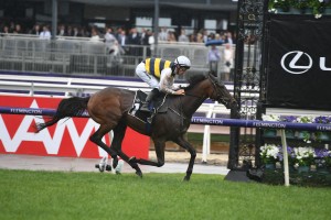 Downdraft, above, secures his spot in the Melbourne Cup with his win in the Hotham Stakes at Flemington. Photo by Steve Hart. 
