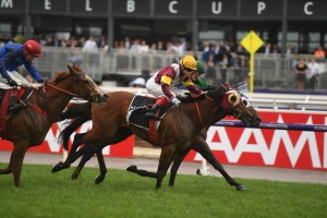 Fierce Impact, above in maroon and yellow colours, wins the Cantala Stakes at Flemington. Photo by Steve Hart.