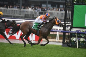 Melody Belle, above, is among the nominations for the Missile Stakes at Rosehill. Photo by Steve Hart.