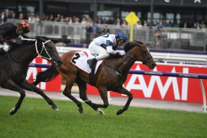Miami Bound, above in white and blue colours, scores a tough win in the Wakeful Stakes at Flemington. Photo by Steve Hart.