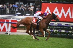 Warning, above, is one of the top chances for the 2020 South Australian Derby at Morphettville. Photo by Steve Hart.