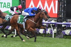 Osborne Bulls, above in royal blue colours, is vying for a slot in the 2019 The Everest at Randwick. Photo by Steve Hart. 