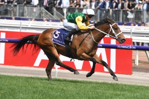 Shillelagh, above in green and gold colours, burst through to win the Empire Rose Stakes at Flemington. Photo by Ultimate Racing Photos.