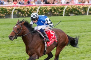 Ryan Moore, above, rides Rostropovich in the 2018 Cox Plate at The Valley. Photo by Sarah Ebbett.