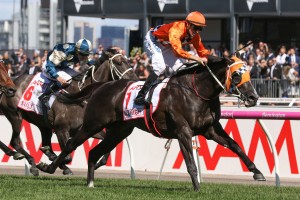 Astoria finished third to Ace High, above, in the 2017 Victoria Derby at Flemington. Photo by Ultimate Racing Photos.