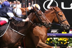 Vow And Declare, chestnut horse with orange and white colours, holds on to win the 2019 Melbourne Cup at Flemington.