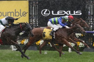 Bella Rosa, above in blue and lime colours, wins the first race on Melbourne Cup Day at Flemington. Photo by Ultimate Racing Photos.