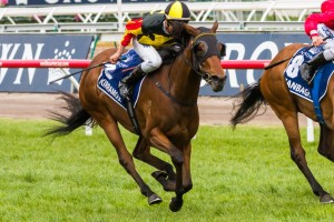 Kirramosa, above, winning the 2013 Crown Oaks at Flemington. Photo by Race Horse Photos Australia.