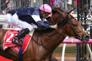 Jockey Corey Brow, above on last year's winner Rekindling, rides Magic Circle in the 2018 Melbourne Cup at Flemington. Photo by Ultimate Racing Photos.