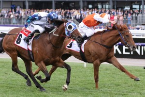 Vow And Declare, above in orange and white colours, is set to fly the flag for the Aussies in the 2019 Melbourne Cup at Flemington. Photo by Ultimate Racing Photos. 