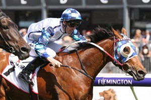 Kenedna, above, will have the blinkers back on in the Ladbrokes Feehan Stakes at The Valley. Photo by Ultimate Racing Photos.